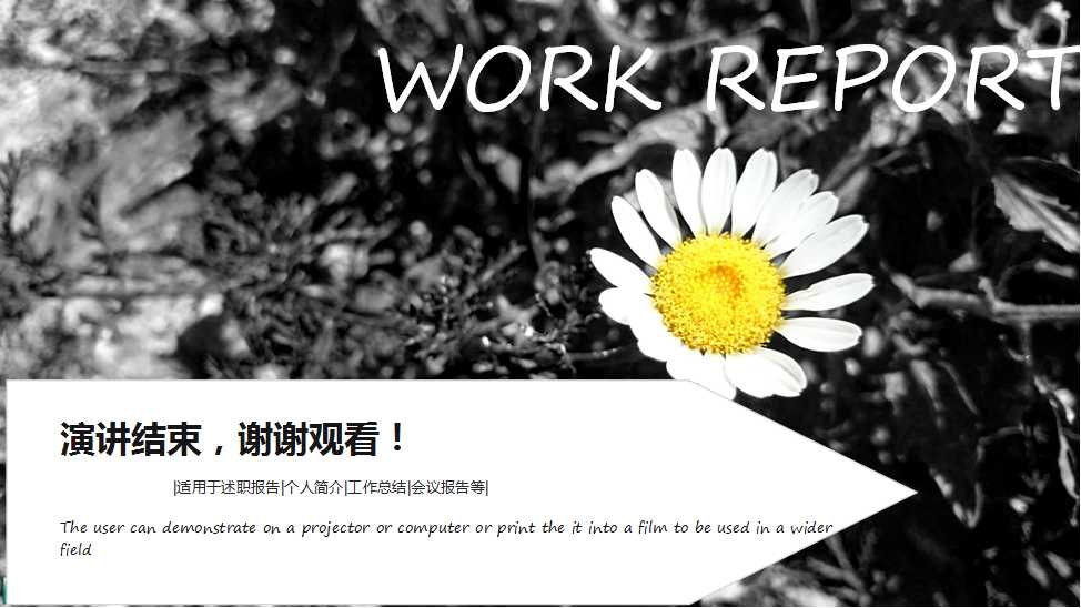 灰色背景ppt模板——向日葵