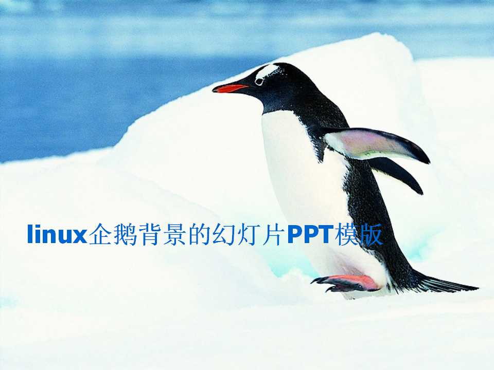 linux企鹅背景的幻灯片PPT模版