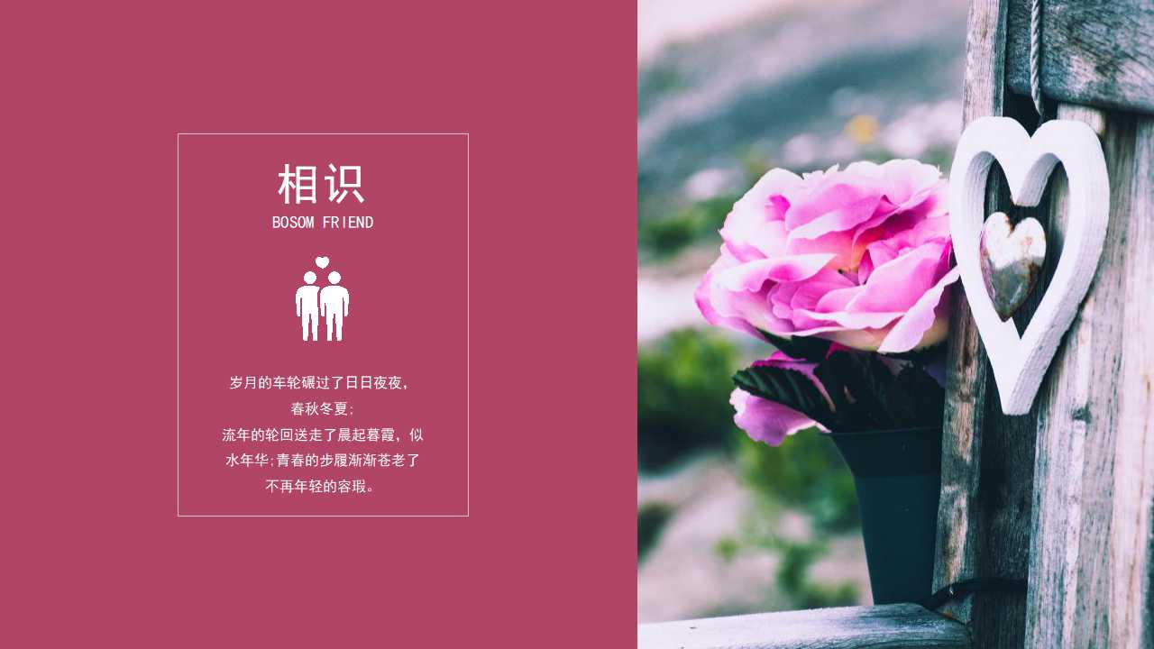 白色玫瑰图片PPT模板下载