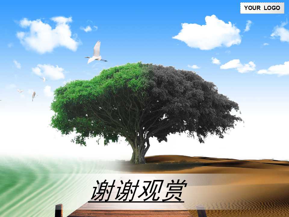 和平鸽虚影图片－自然风景PPT模板