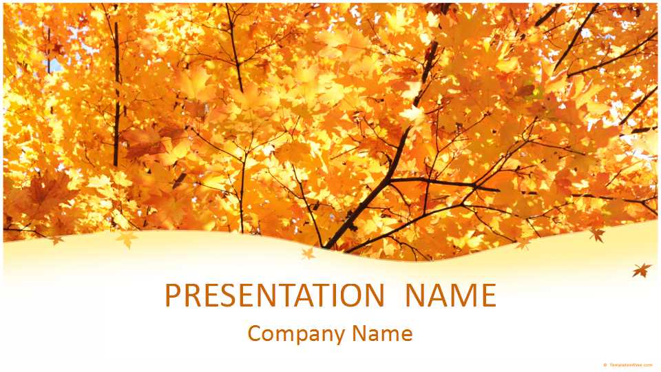 重阳寿星PPT模板