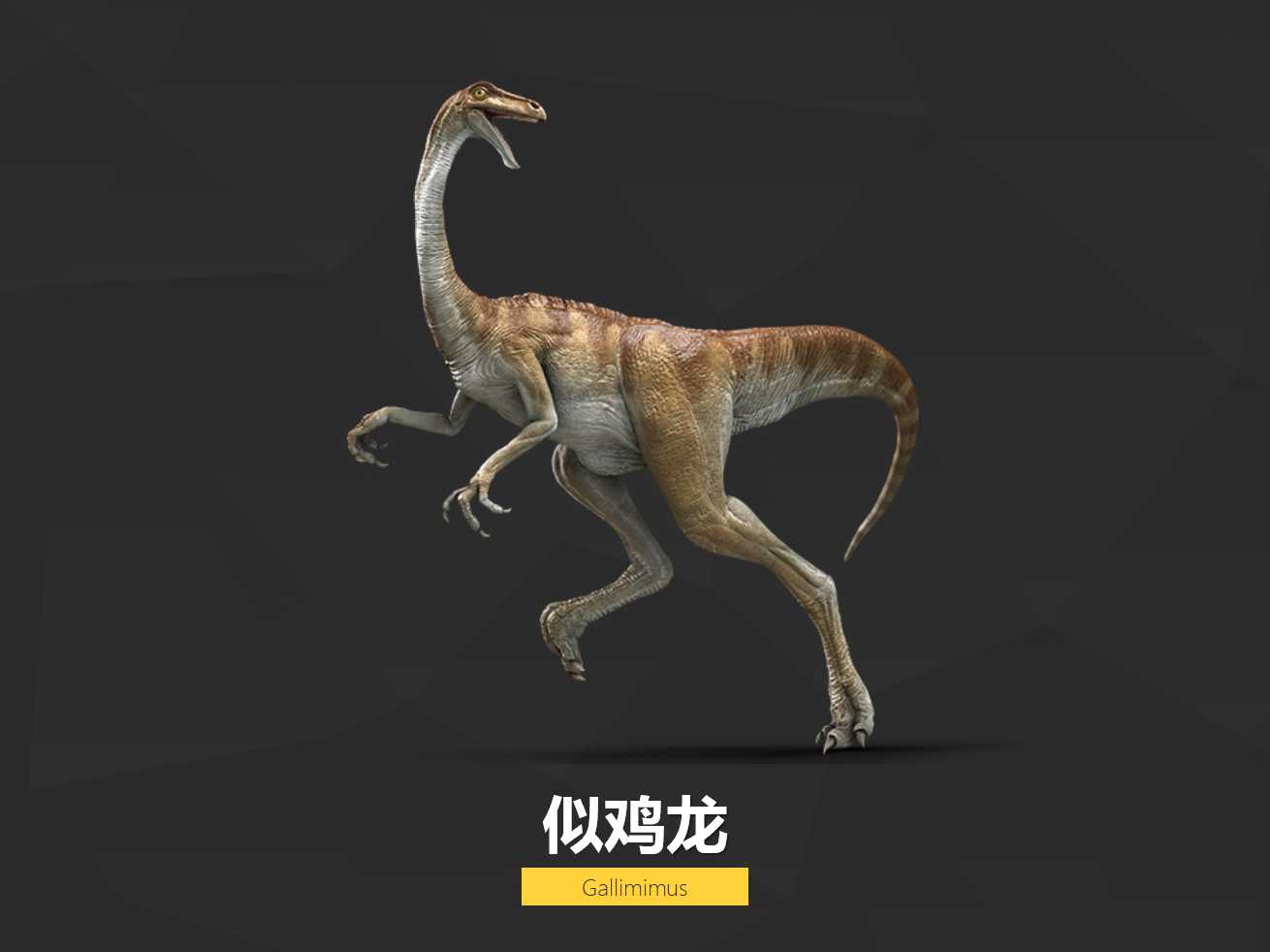 恐龙图片卡通模板PPT