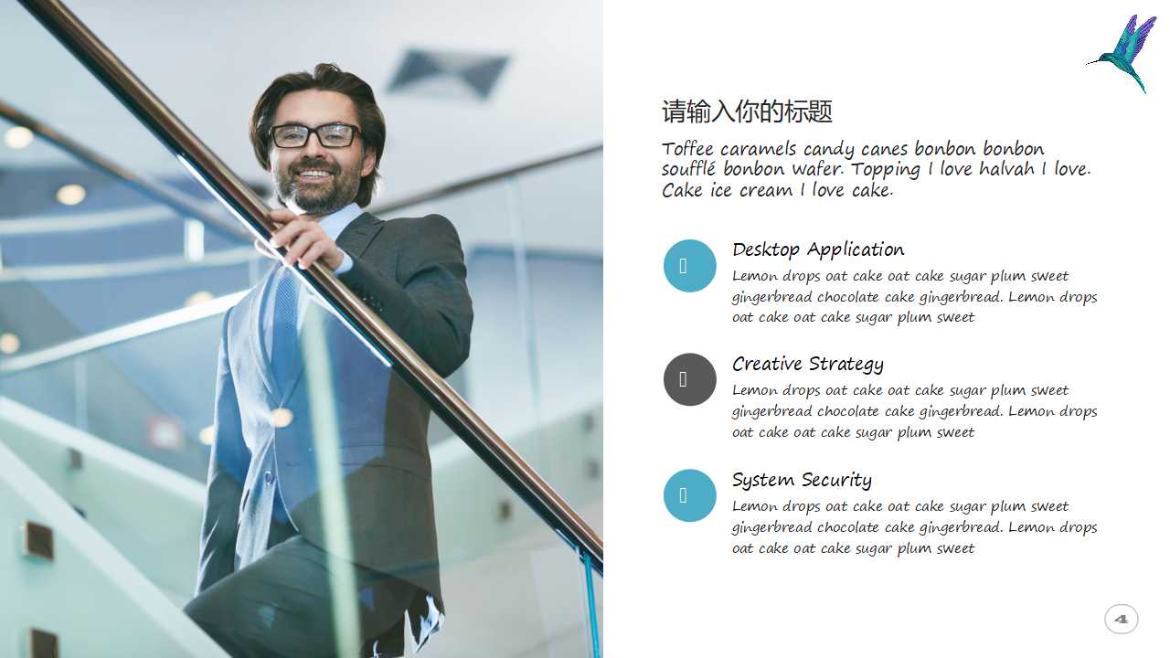 精美PPT模板2010最新风格