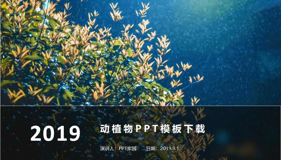 动植物PPT模板下载