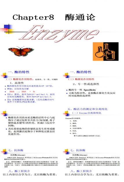 酶的通论PPT模板下载