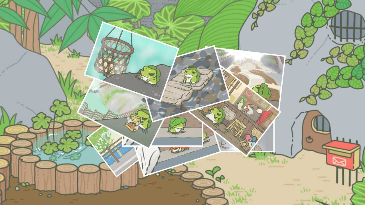 关于青蛙背景的PPT模板