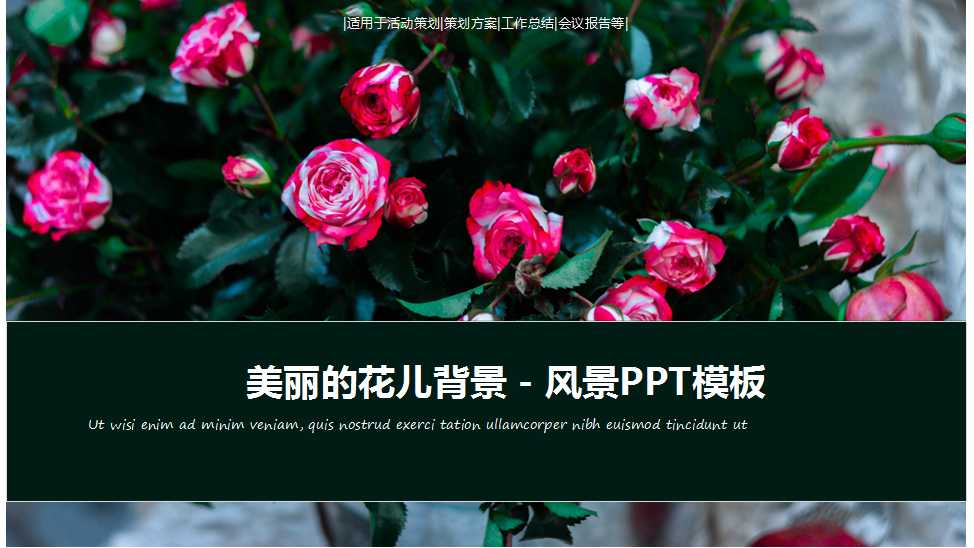 美丽的花儿背景－风景PPT模板