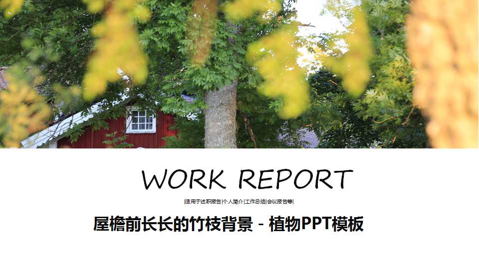 屋檐前长长的竹枝背景－植物PPT模板