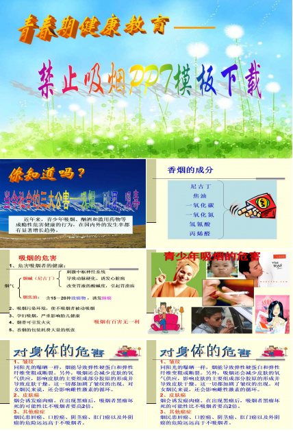 禁止吸烟PPT模板下载