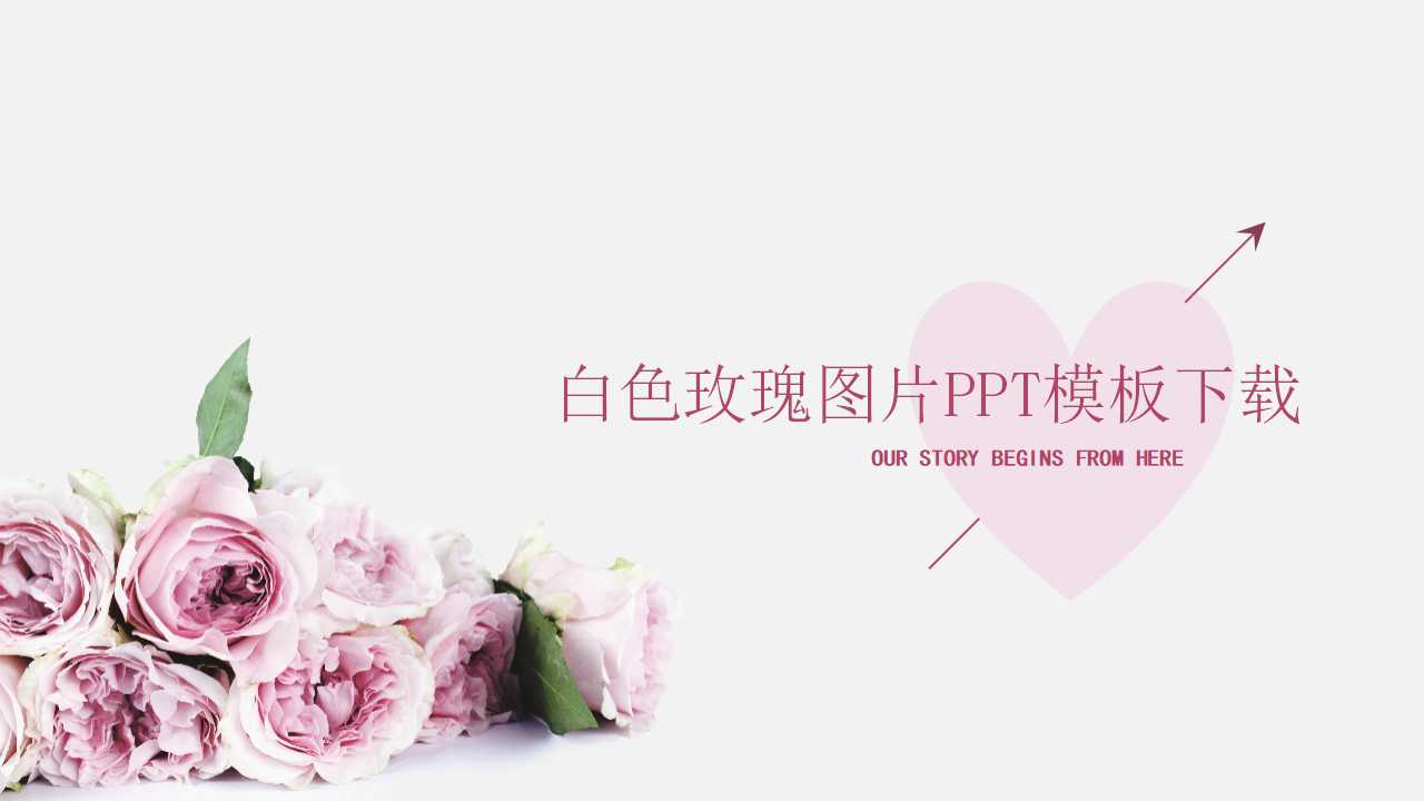 白色玫瑰图片PPT模板下载