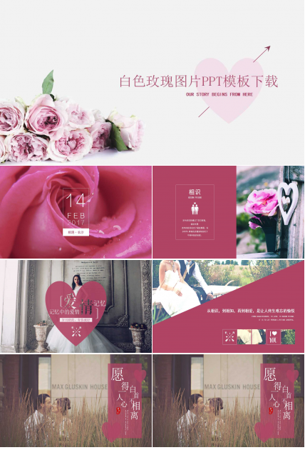 白色玫瑰图片PPT模板下载