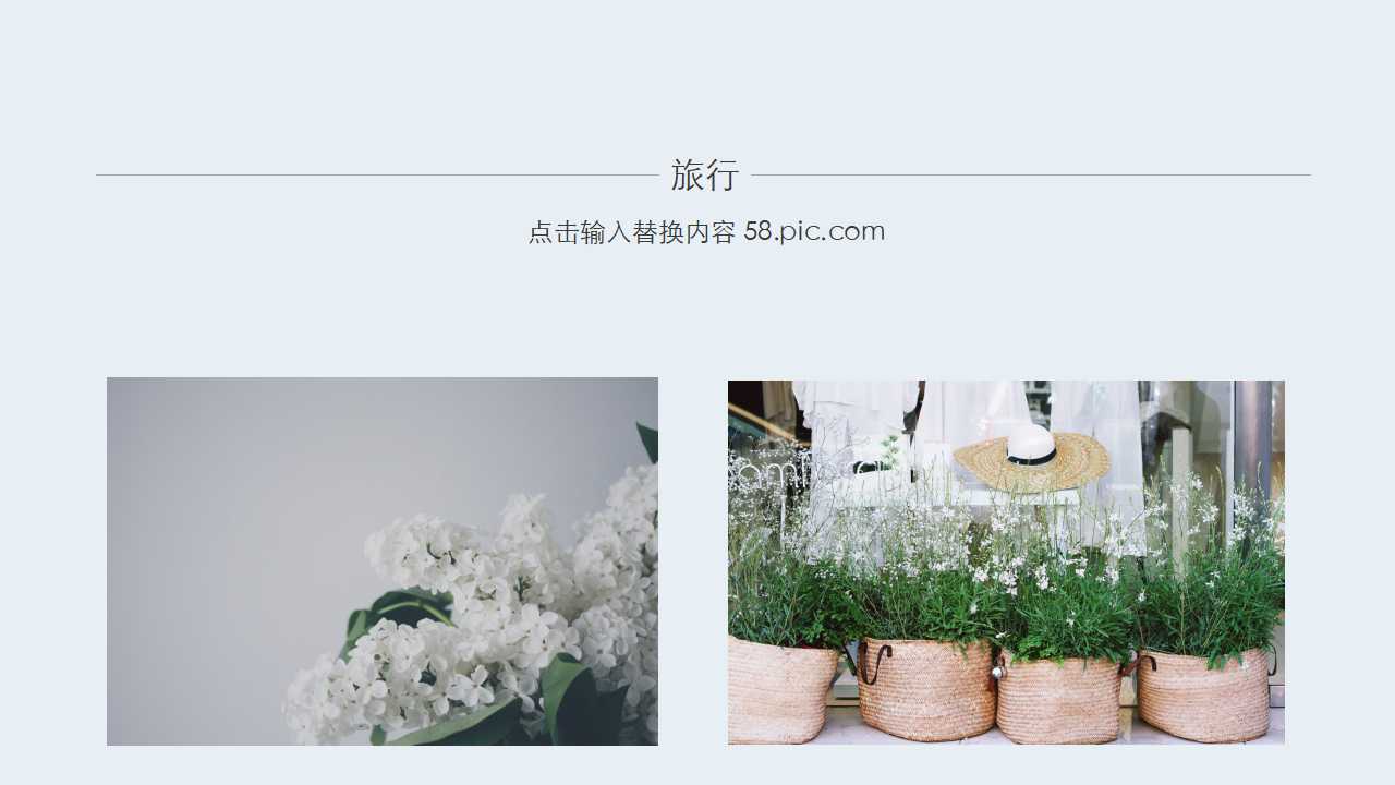 花朵背景幻灯片模版下载