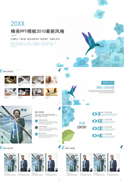精美PPT模板2010最新风格