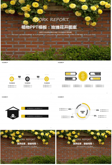 植物PPT模板：玫瑰花开图案