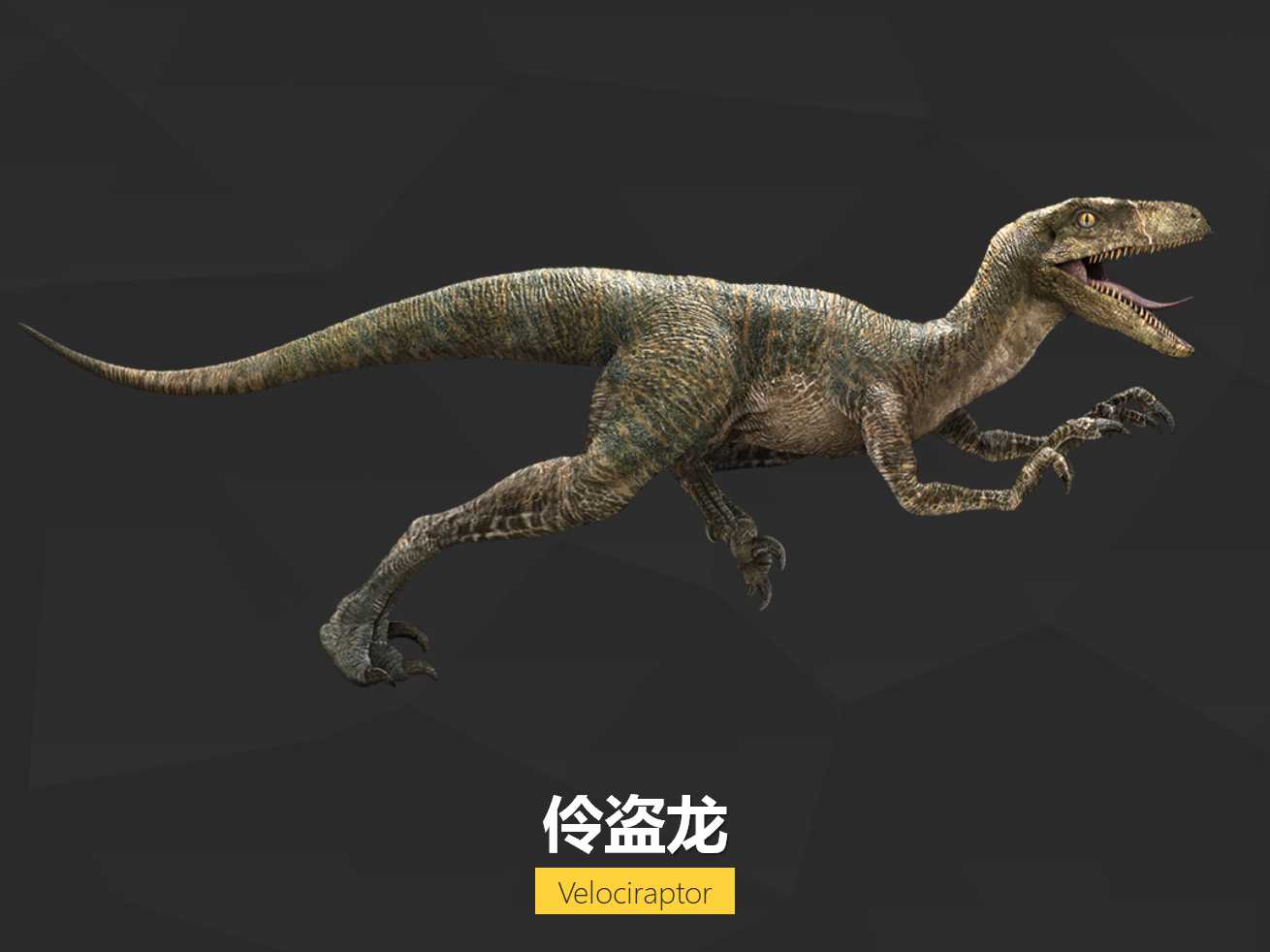 恐龙图片卡通模板PPT