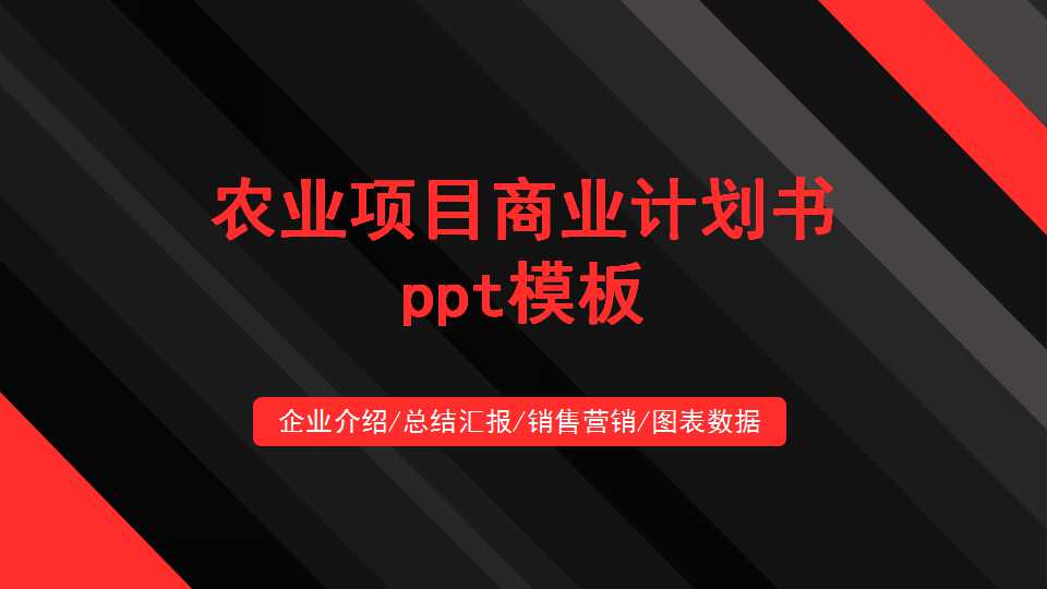 农业项目商业计划书ppt模板