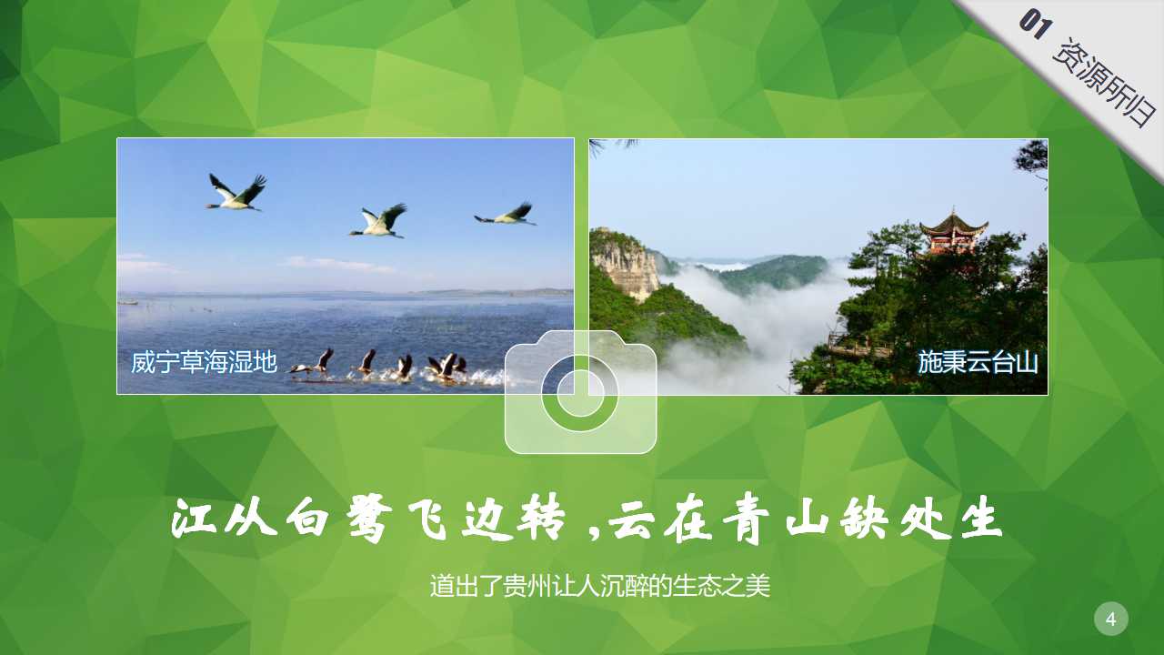 绿色的大自然PPT模板下载