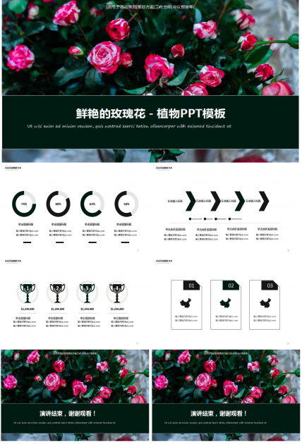 鲜艳的玫瑰花－植物PPT模板