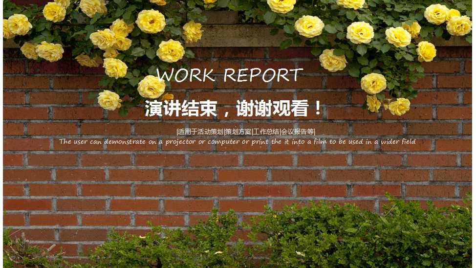 植物PPT模板：玫瑰花开图案