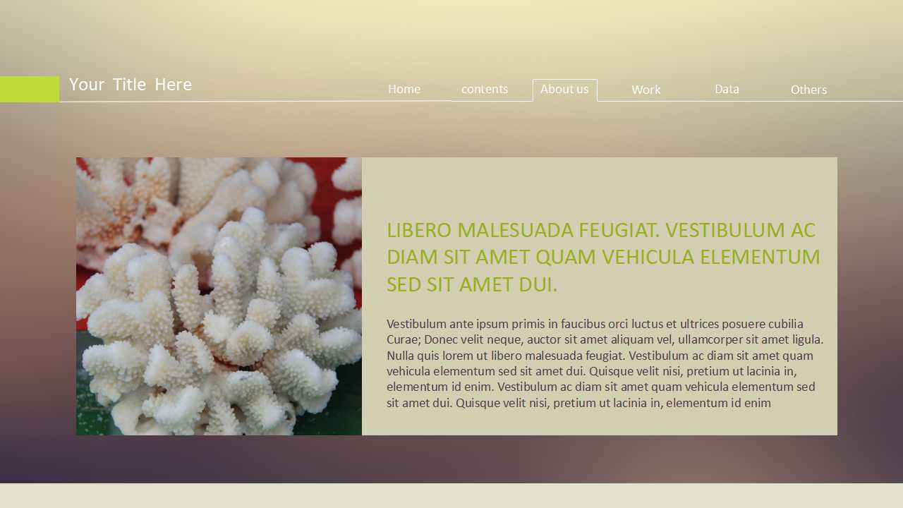 灰绿色弧线图片PPT模板下载