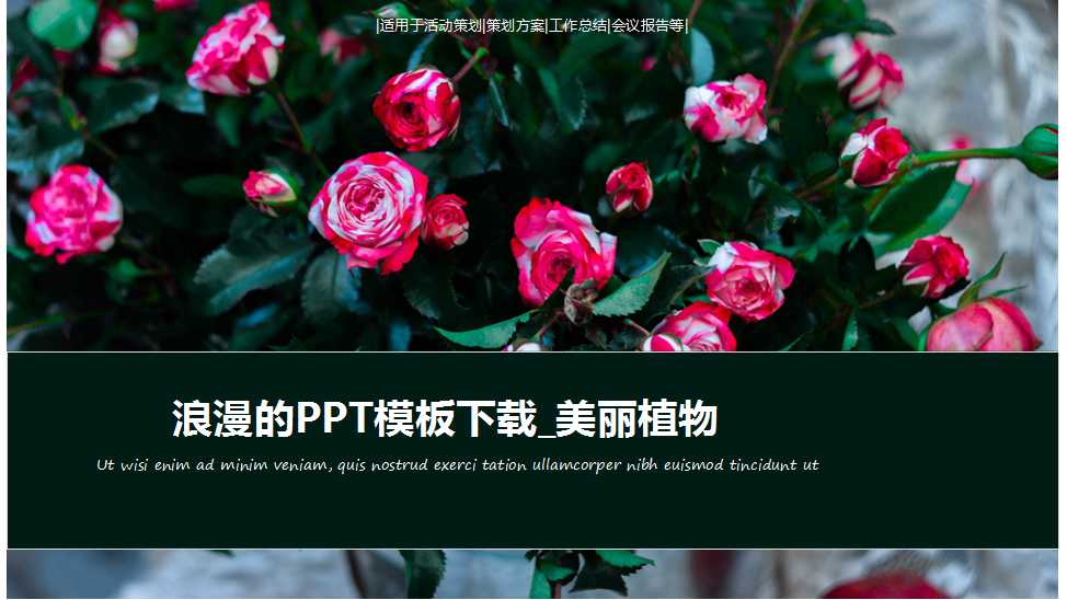 浪漫的PPT模板下载_美丽植物