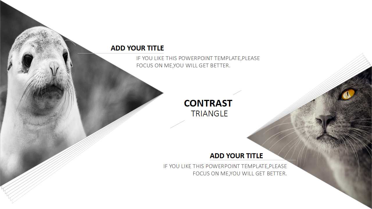 Army背景PPT模板下载