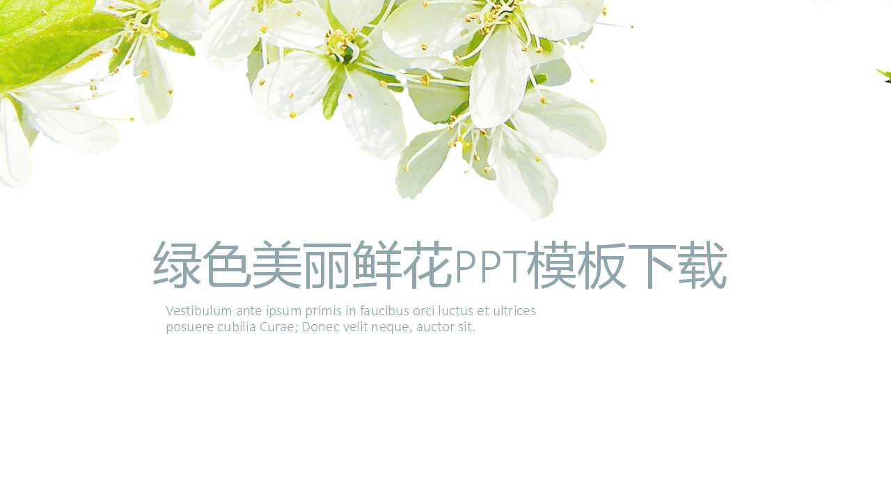 绿色美丽鲜花PPT模板下载