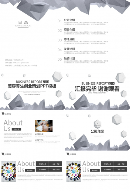 美容养生创业策划ppt模板