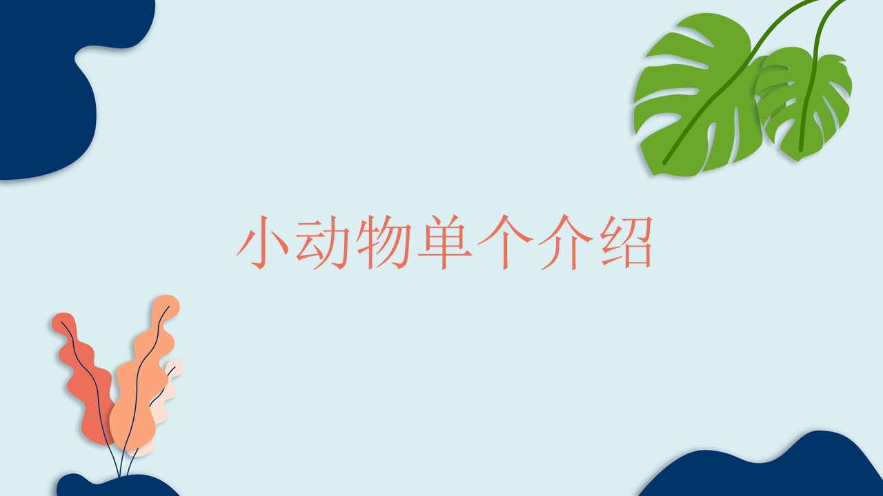 卡通动物背景ppt模板
