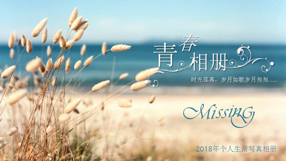 个人生活写真相册ppt模板