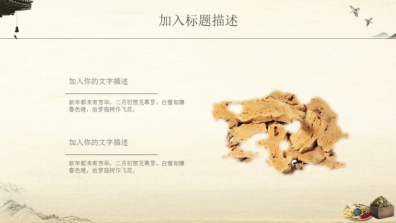 中医文化产品介绍PPT模板