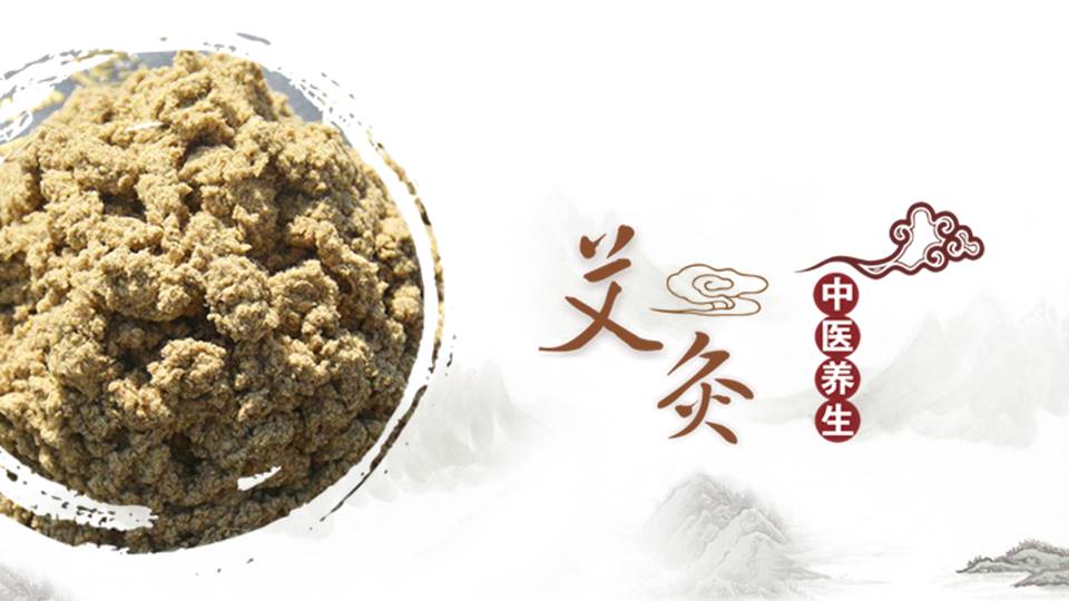 中医养生艾灸ppt模板