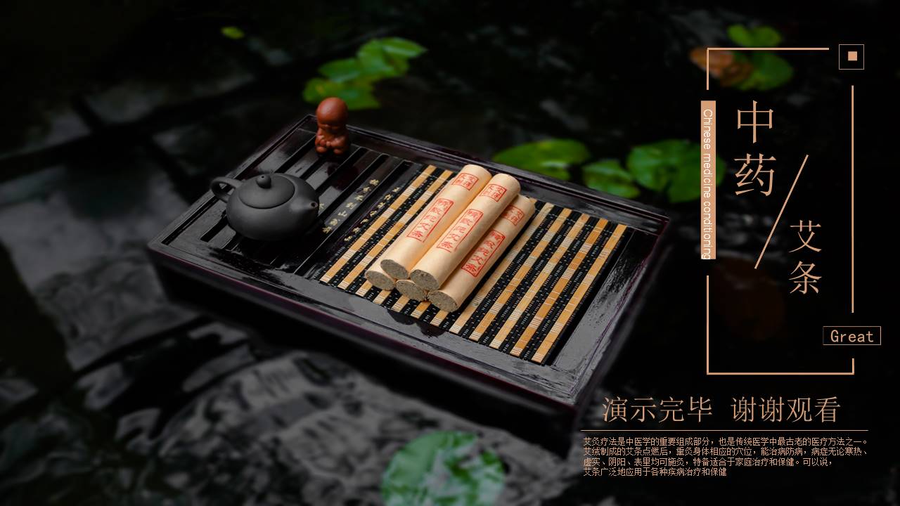 中医艾灸疗法ppt模板