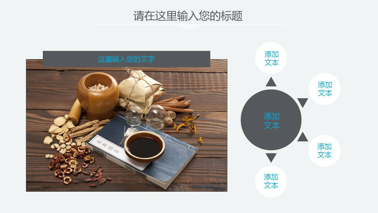 中医产品介绍通用ppt模板