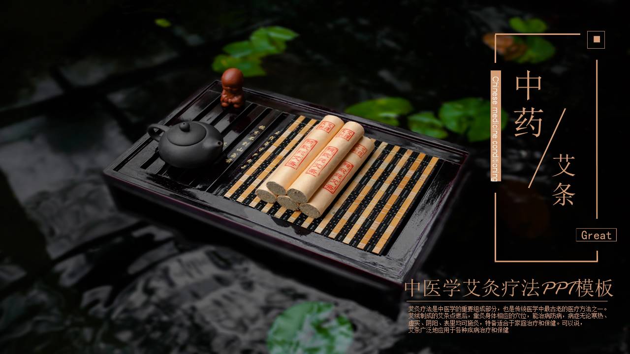 中医艾灸疗法ppt模板