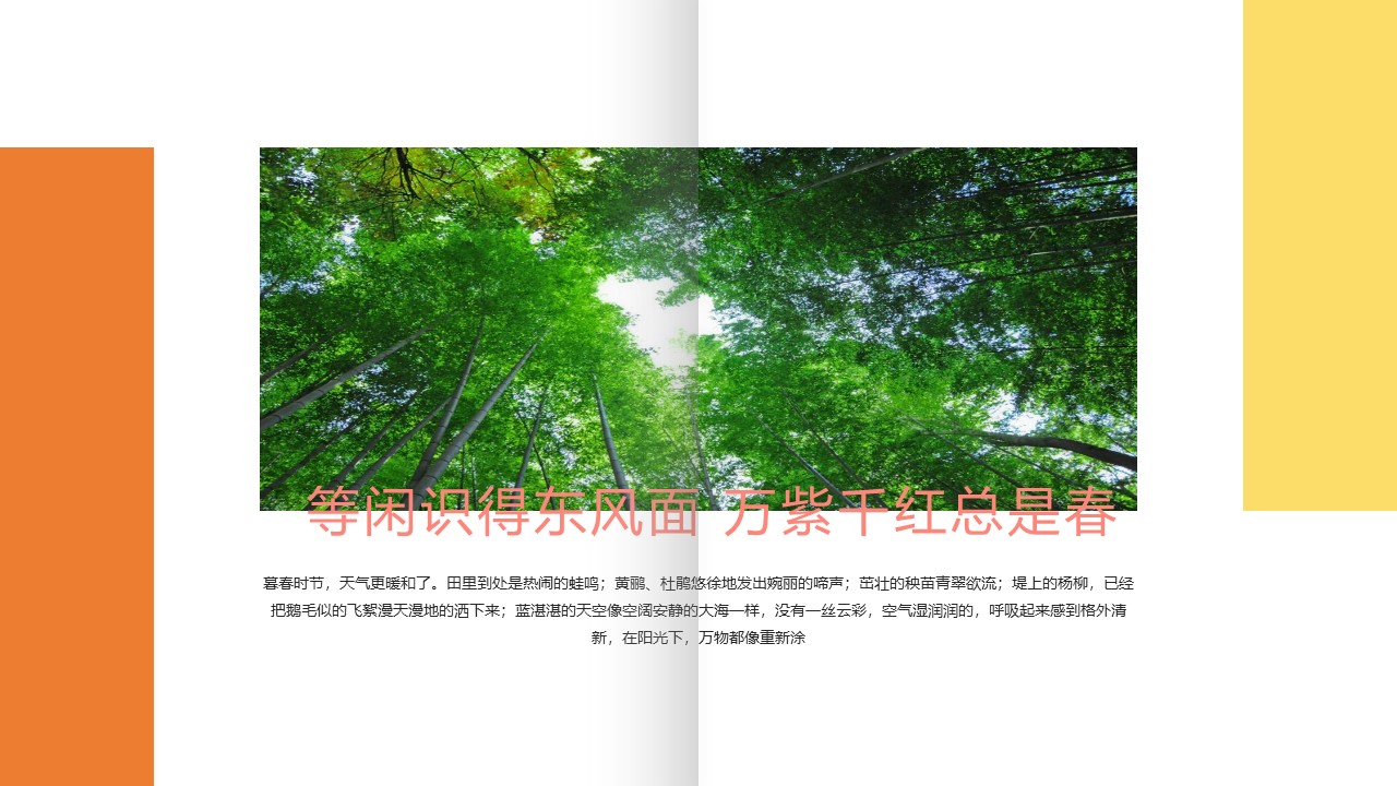 欧美简约画册ppt模板