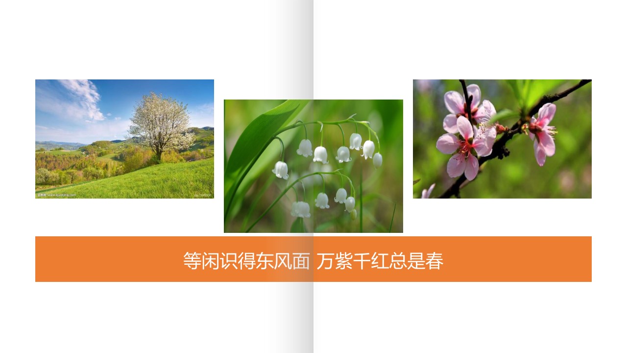 欧美简约画册ppt模板