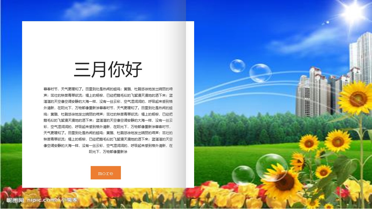 欧美简约画册ppt模板