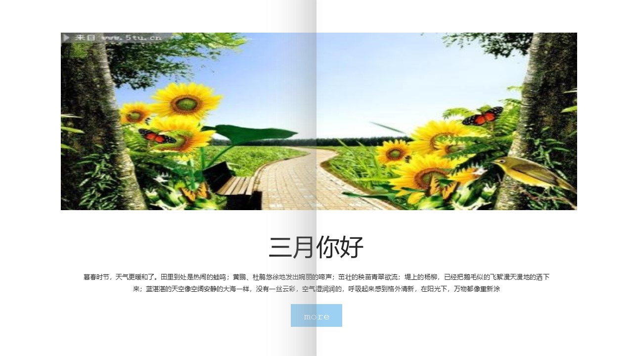 欧美简约画册ppt模板