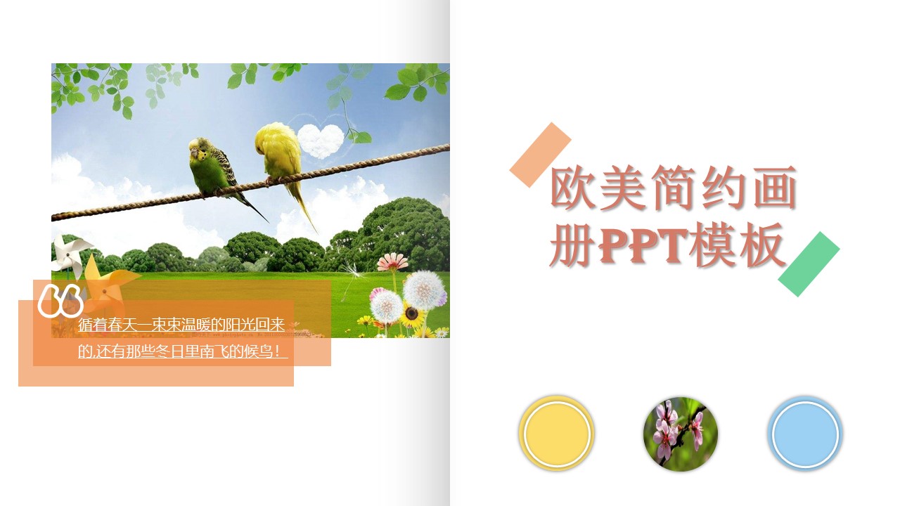 欧美简约画册ppt模板