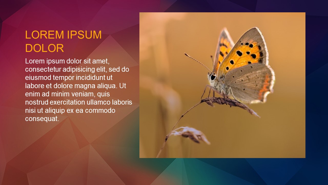 ios风格扁平化ppt模板