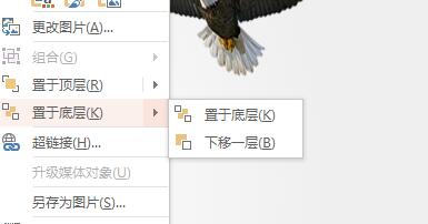 QQ截图20180505134117.jpg