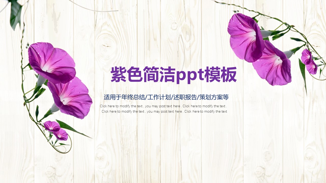 紫色简洁ppt模板