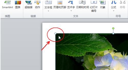 QQ截图20180530143426.jpg