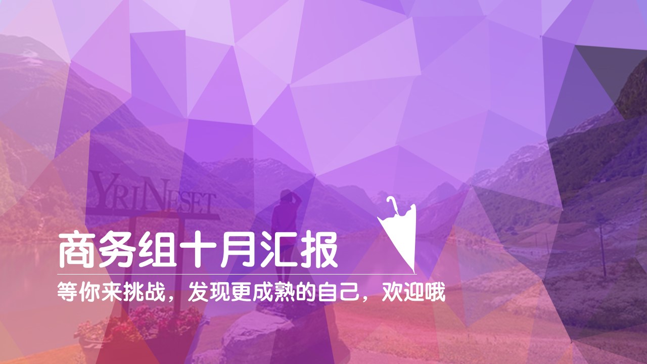 电子商务总结汇报类ppt模板
