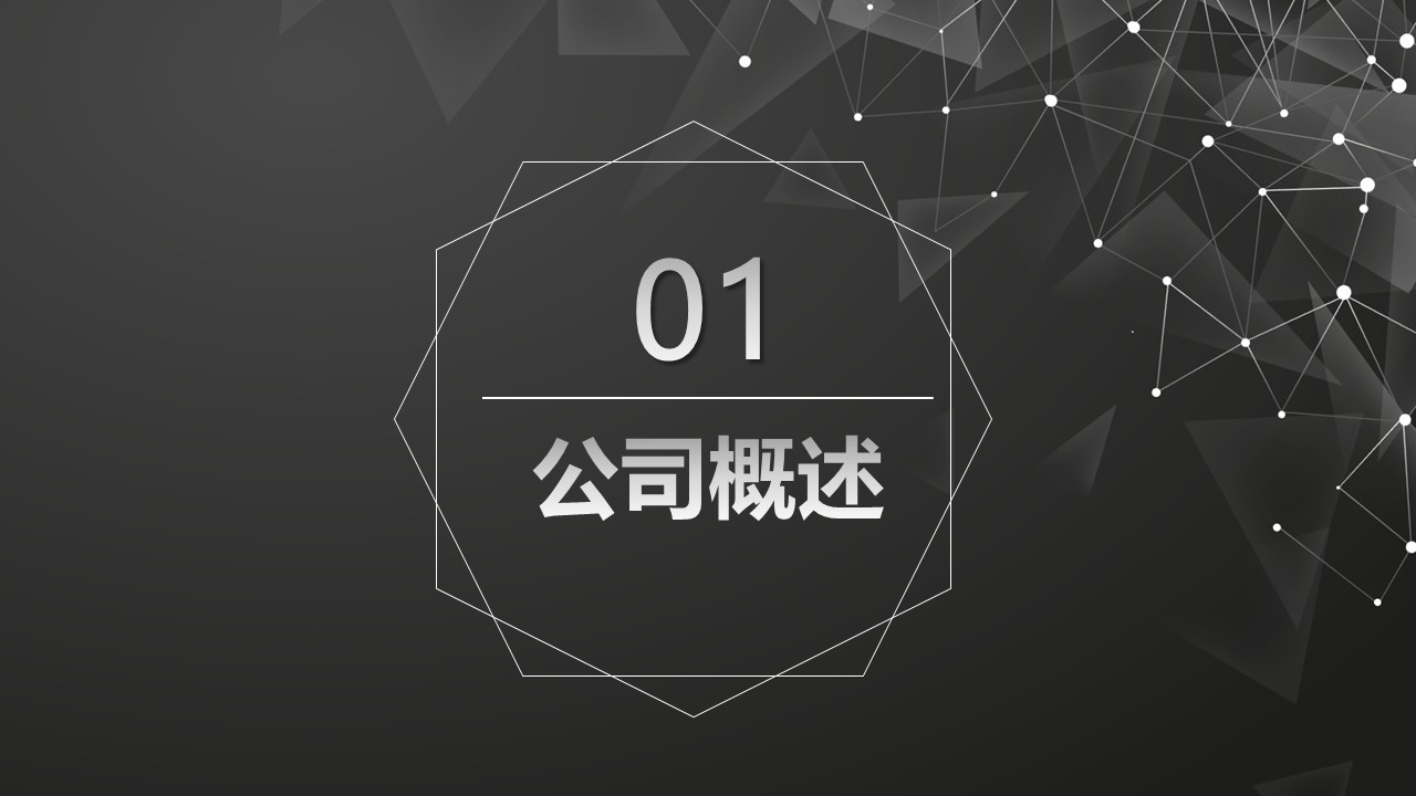 国外经典设计师ppt模板