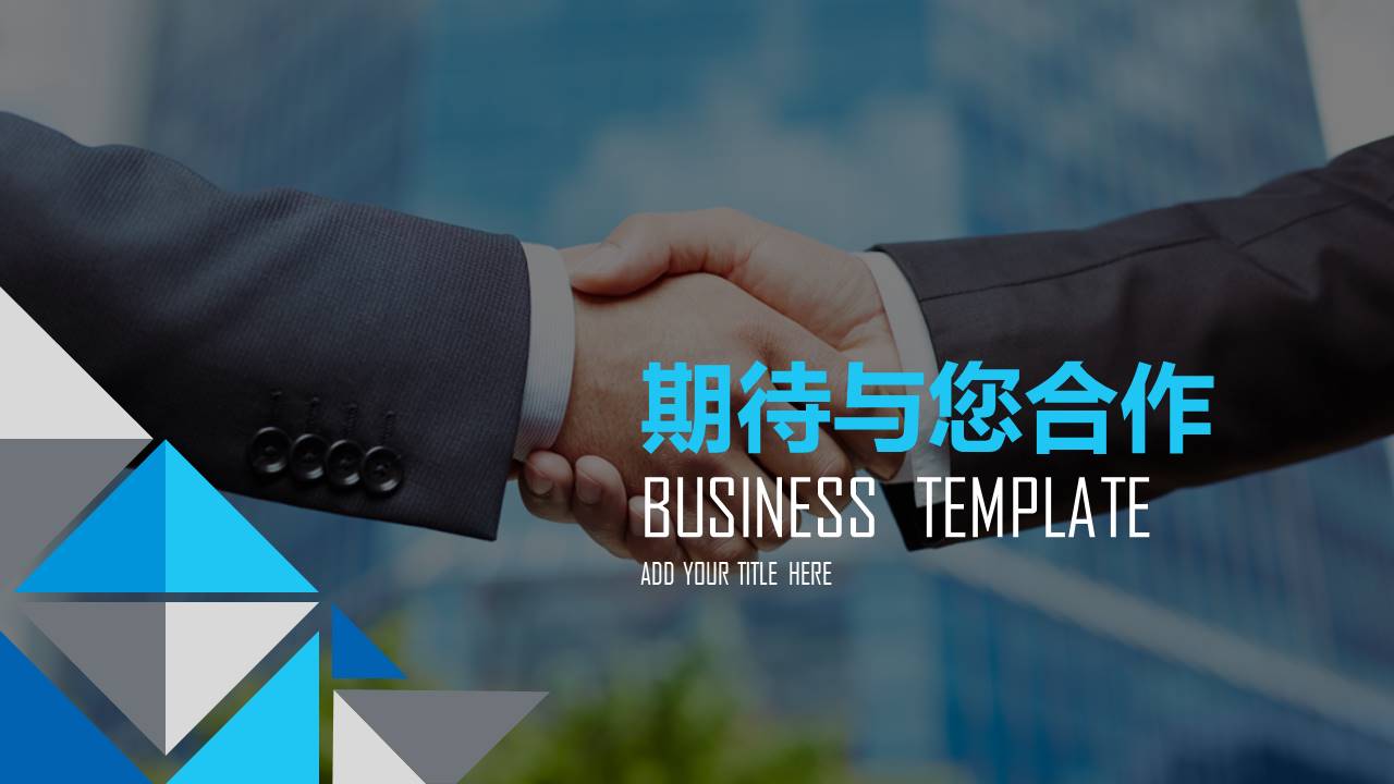 电子商务招商加盟计划书ppt模板