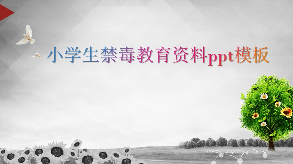 小学生禁毒教育资料ppt模板