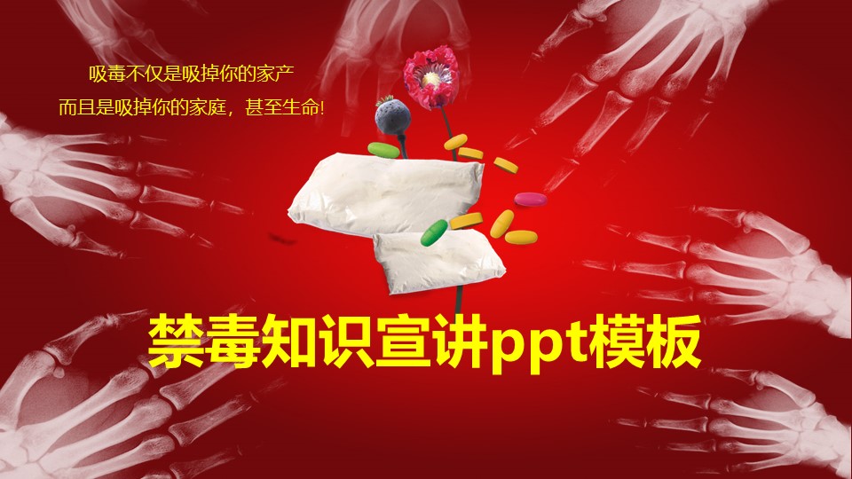 禁毒知识宣讲ppt模板