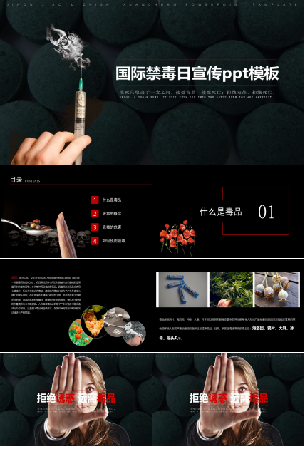 国际禁毒日宣传ppt模板